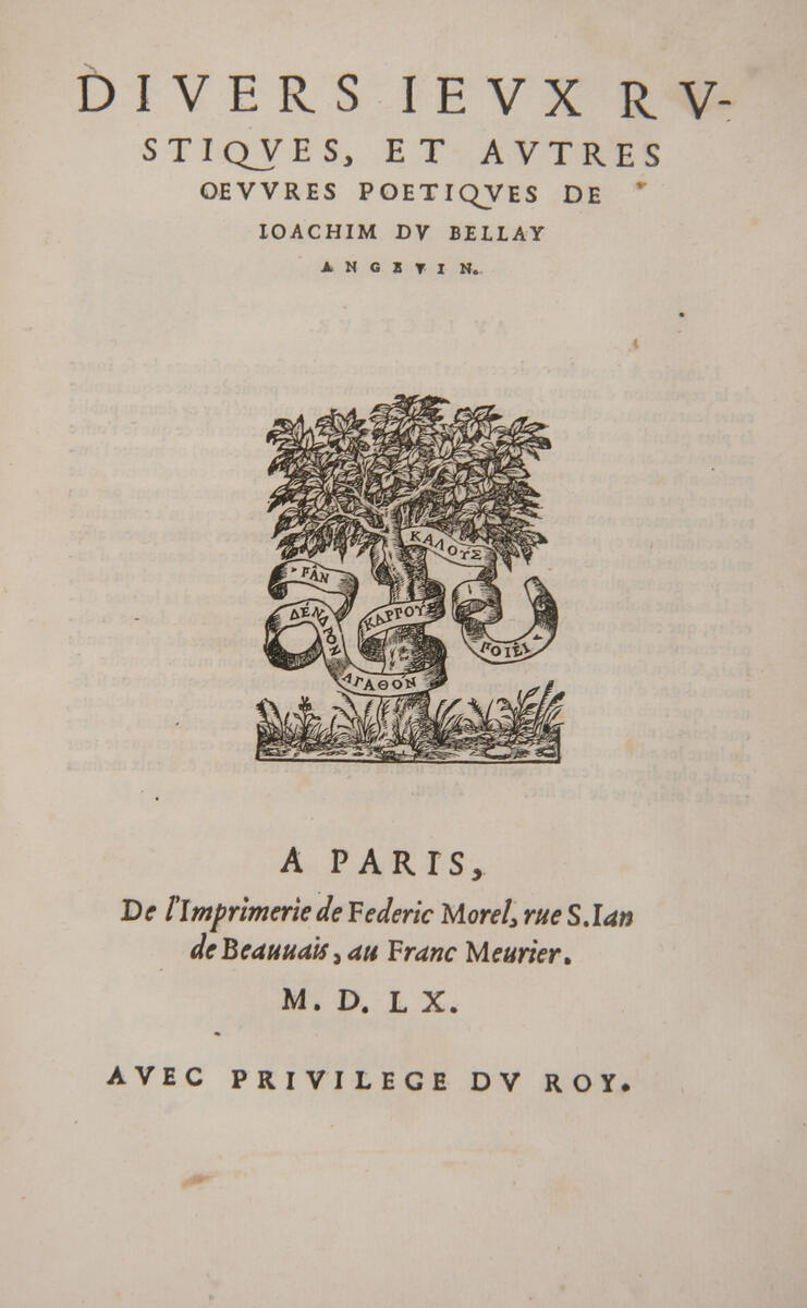 Nouveau média non reconnu (pas de metadata)