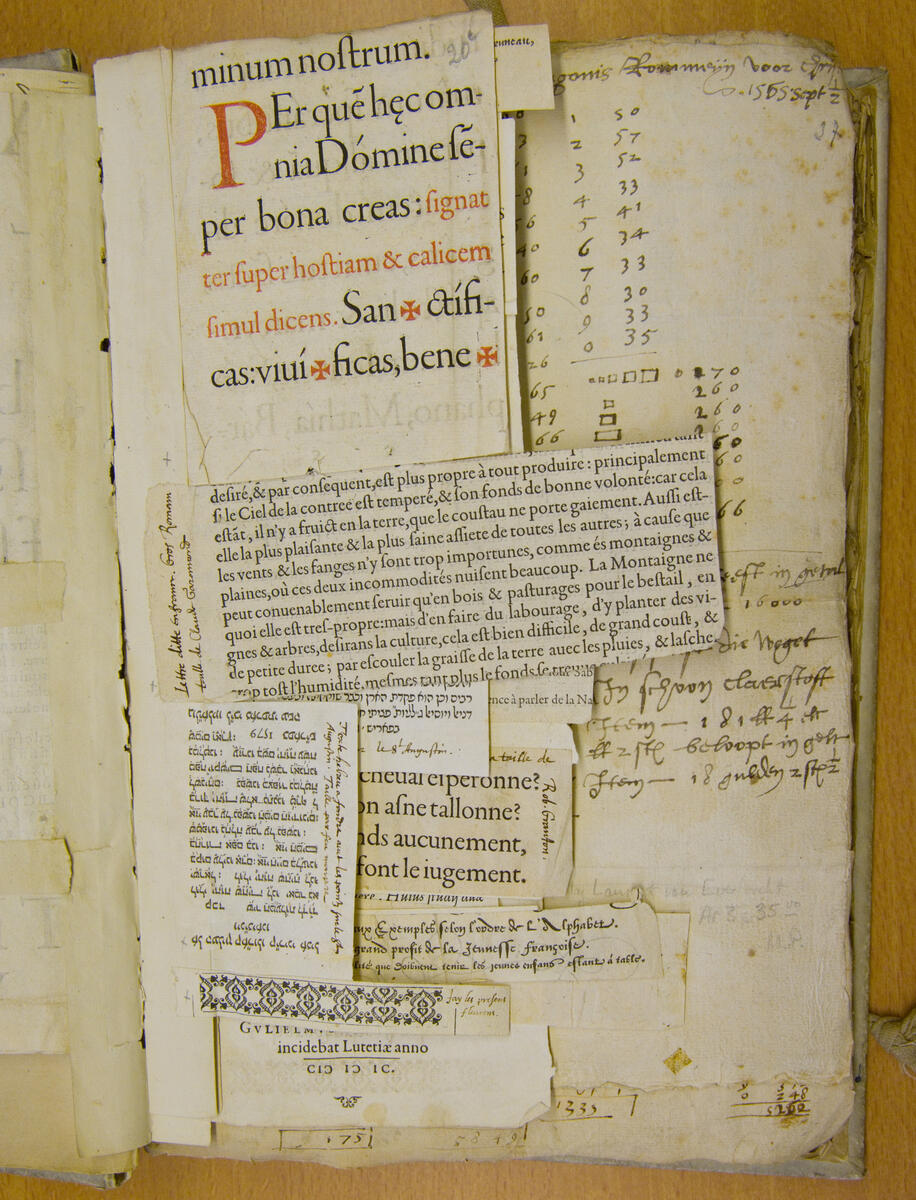 Visite du muse Plantin-Moretus  Anvers