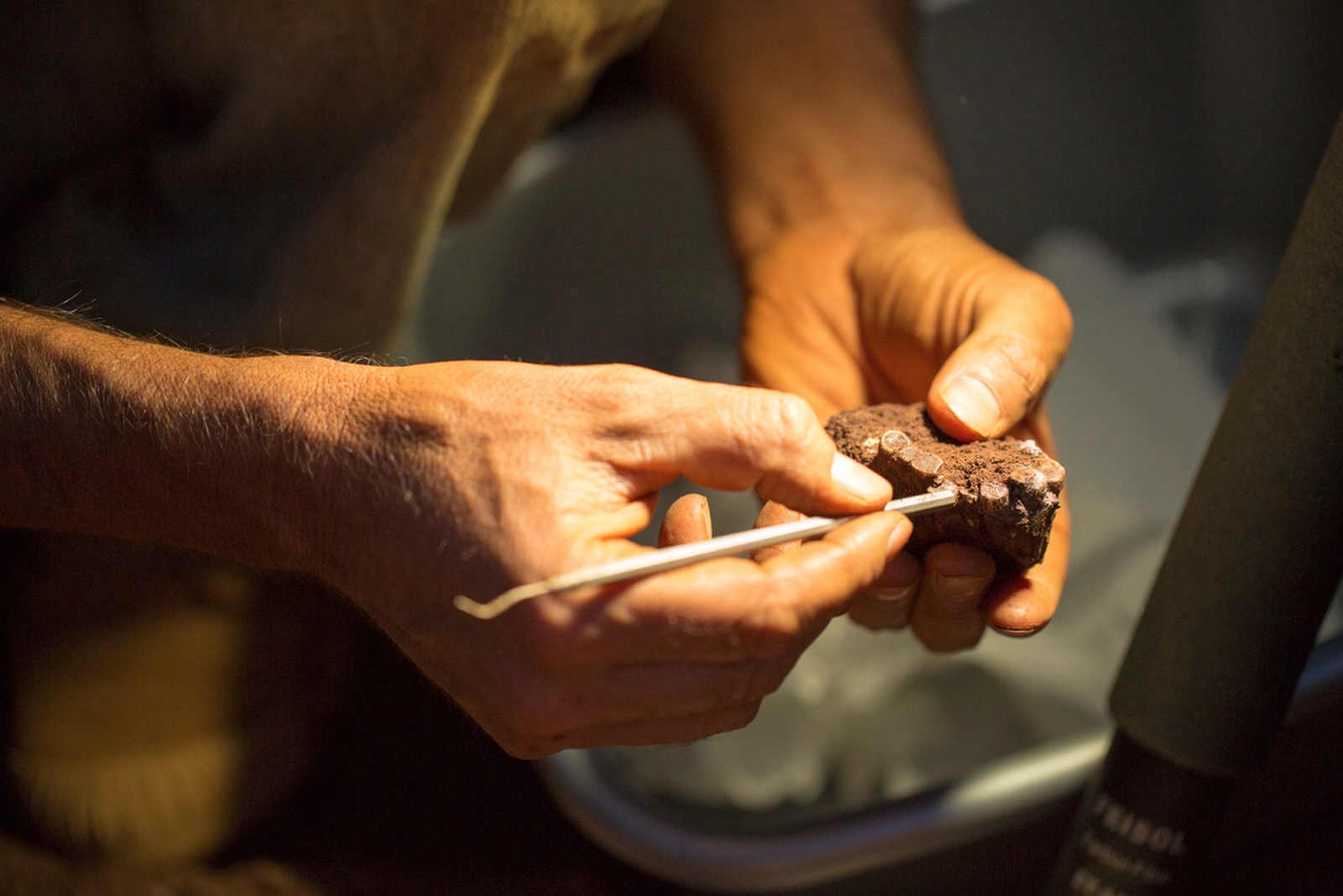 Un fossile d’homininé de Kromdraai 